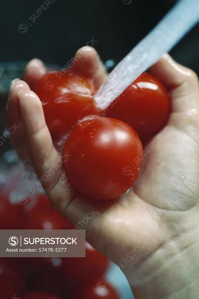 Tomatoes being rinsed