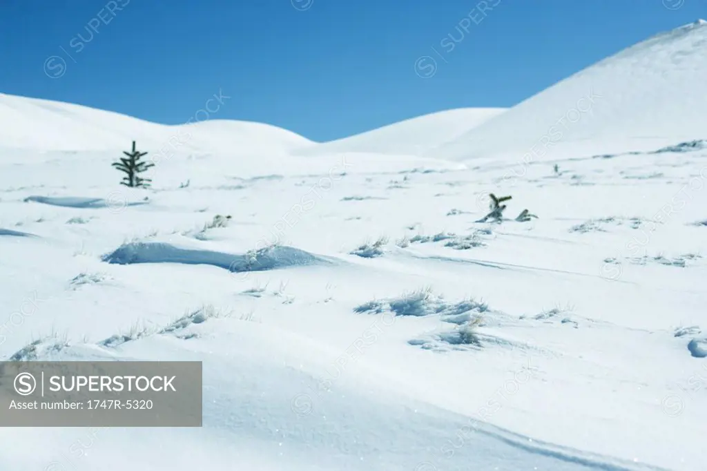 Snow covered mountain landscape