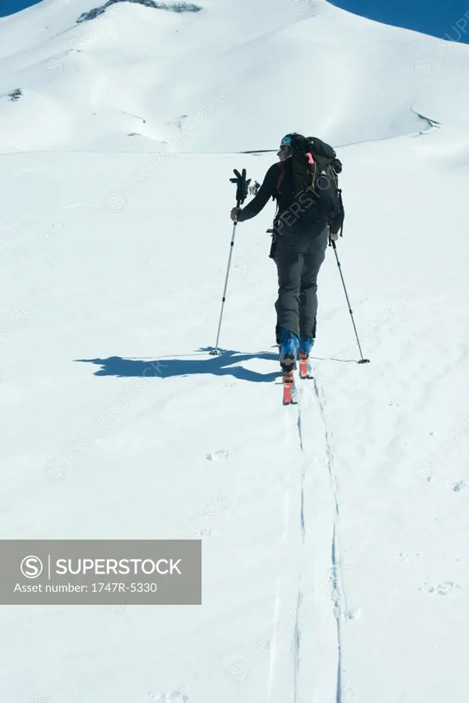 Skier heading toward mountain, rear view