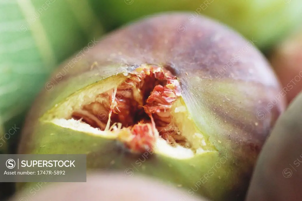 Fig splitting open, extreme close-up