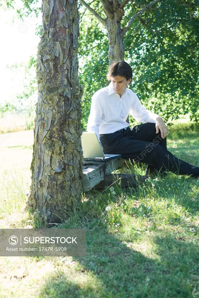 Businessman sitting on bench, under tree, using laptop