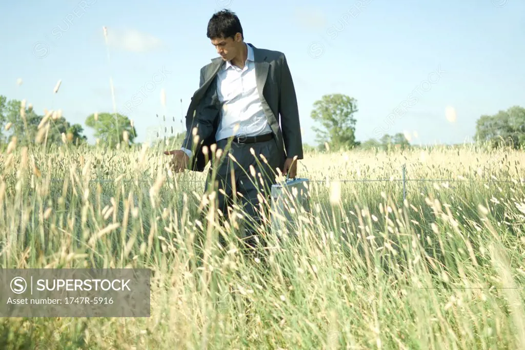 Businessman walking through field