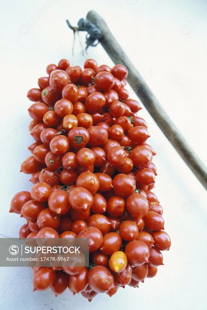 Large bunch of tomatoes