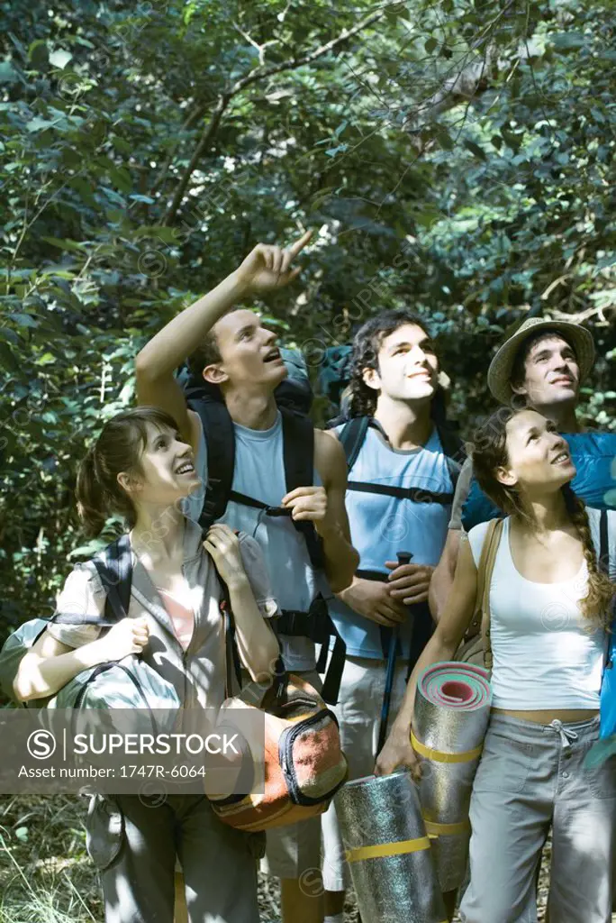 Group of hikers looking up