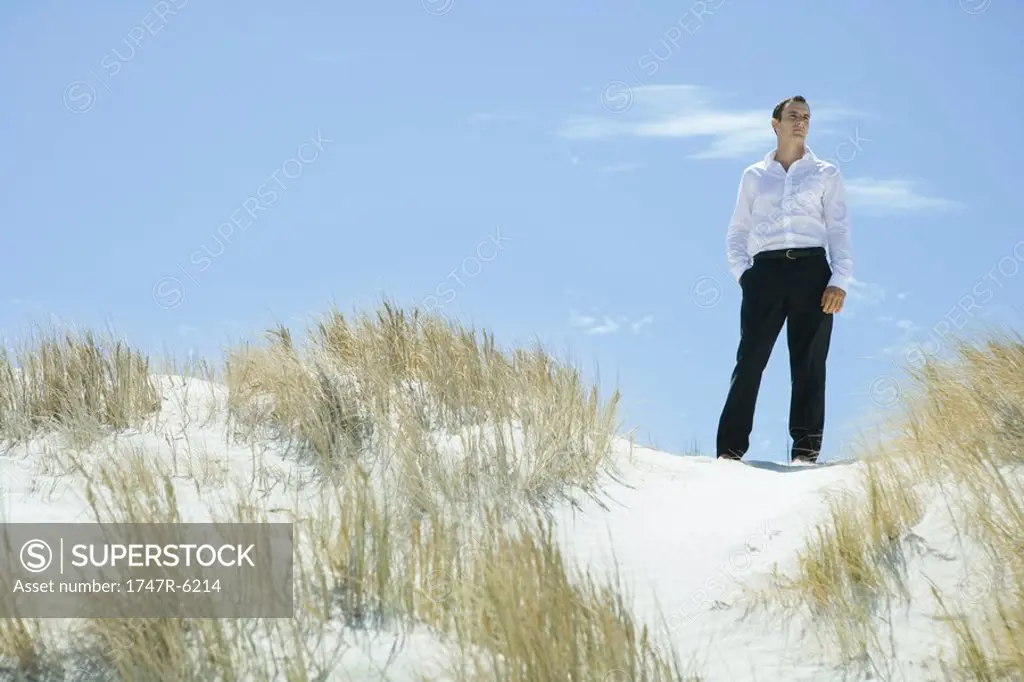 Businessman standing on dune, looking at distance