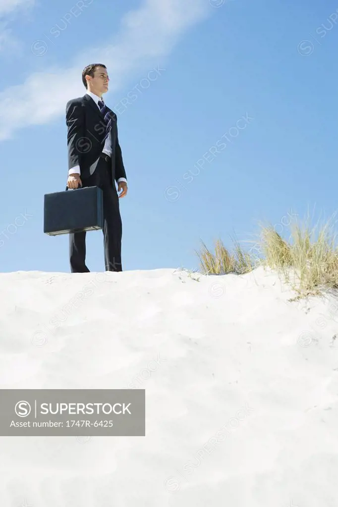 Businessman standing on sand dune, holding briefcase, low angle view