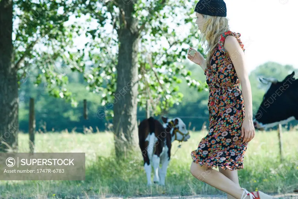 Young woman walking past cows, side view