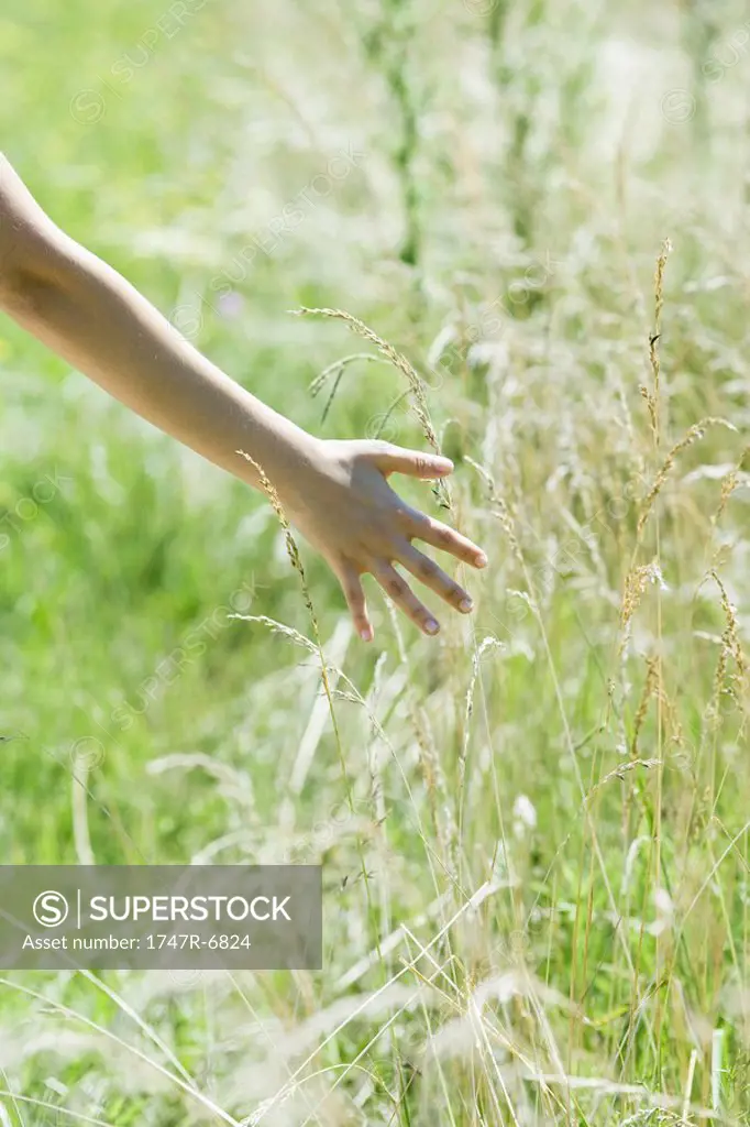 Woman touching tall weeds in field, close-up, cropped view