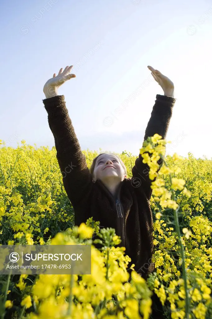 Girl standing in field of canola in bloom, stretching arms over head