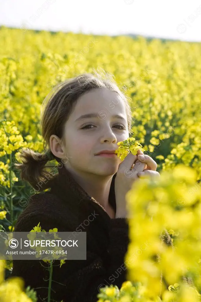 Girl in field of yellow flowers, smelling blossom, looking at camera