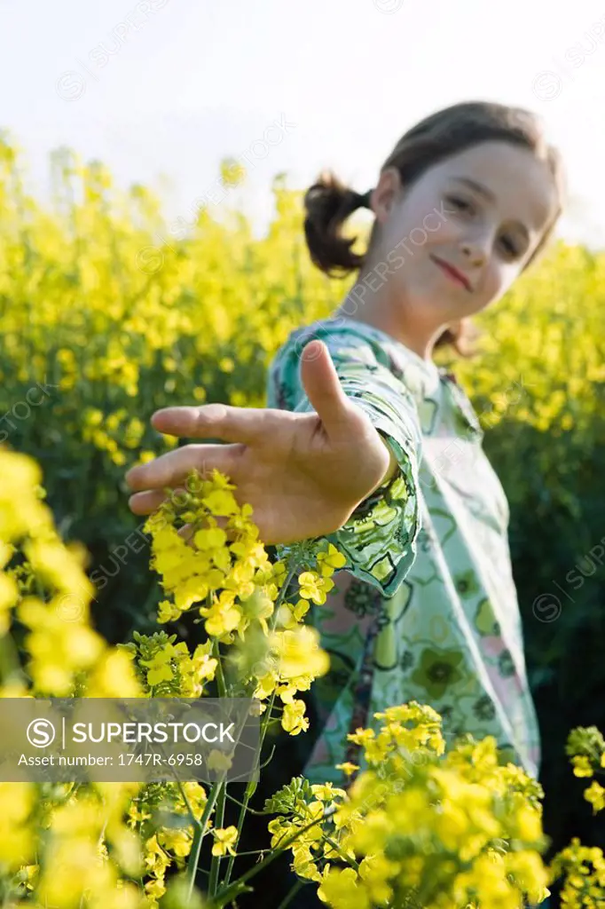 Girl standing in field of canola, arm out to touch flowers