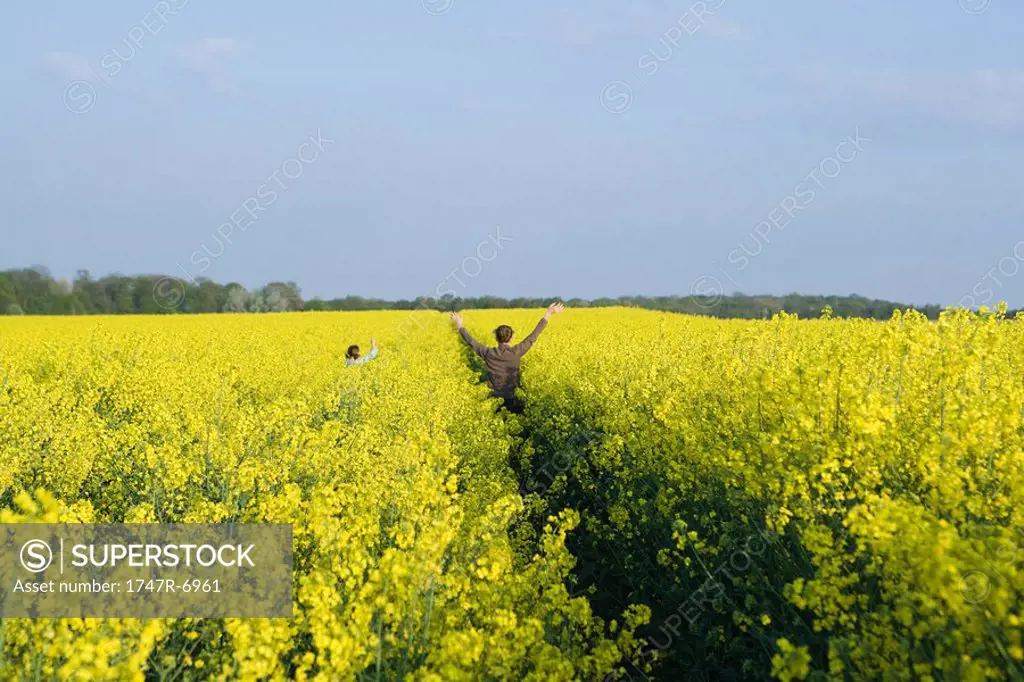 Two girls standing in field of canola in bloom with arms raised, mid-distance, rear view