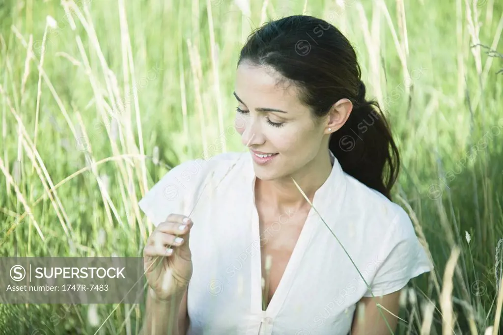 Woman in field, looking at blade of grass