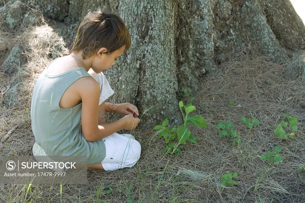 Boy kneeling on ground by base of tree