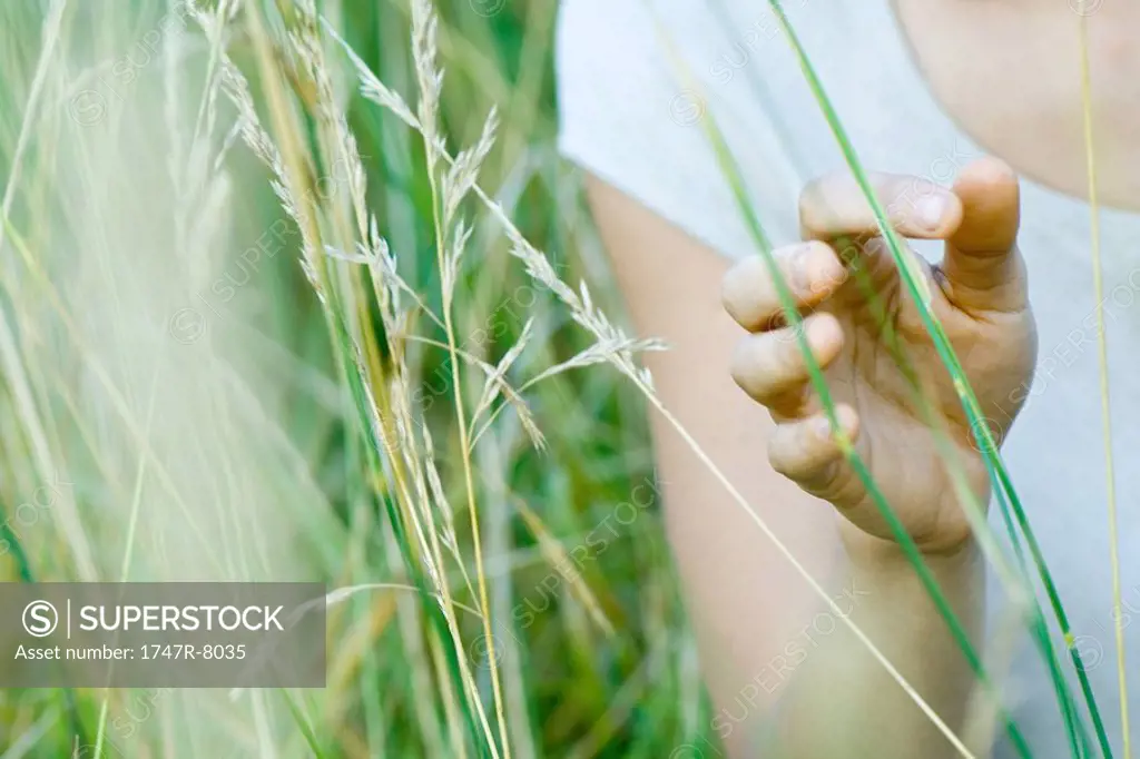 Woman touching tall grass, close-up