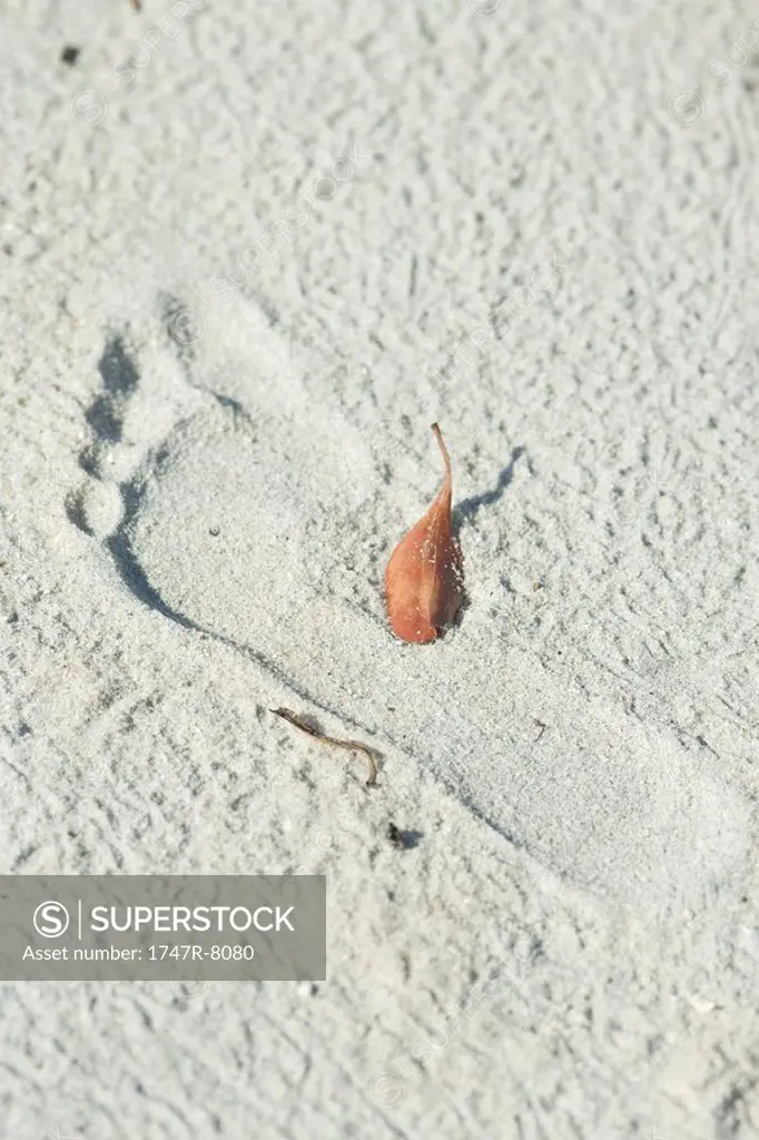 Footprint in sand with leaf