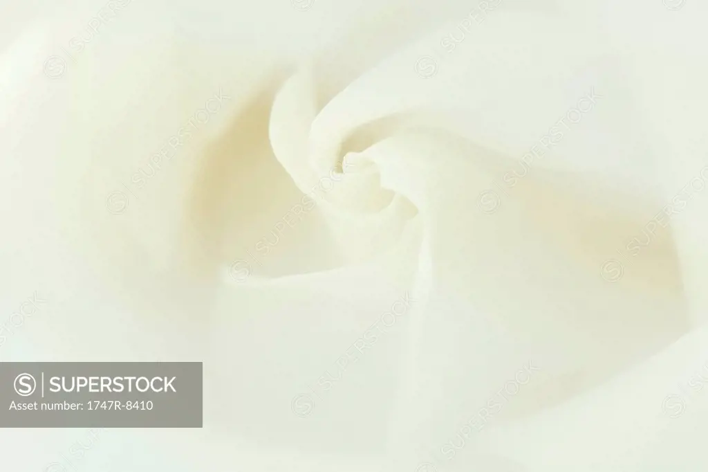 White flower petals, extreme close-up