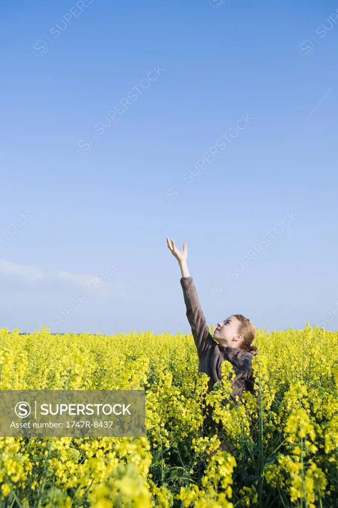 Girl standing in field of canola in bloom, reaching up to blue sky