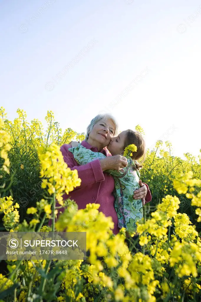 Girl kissing grandmother on cheek, standing in field of yellow flowers