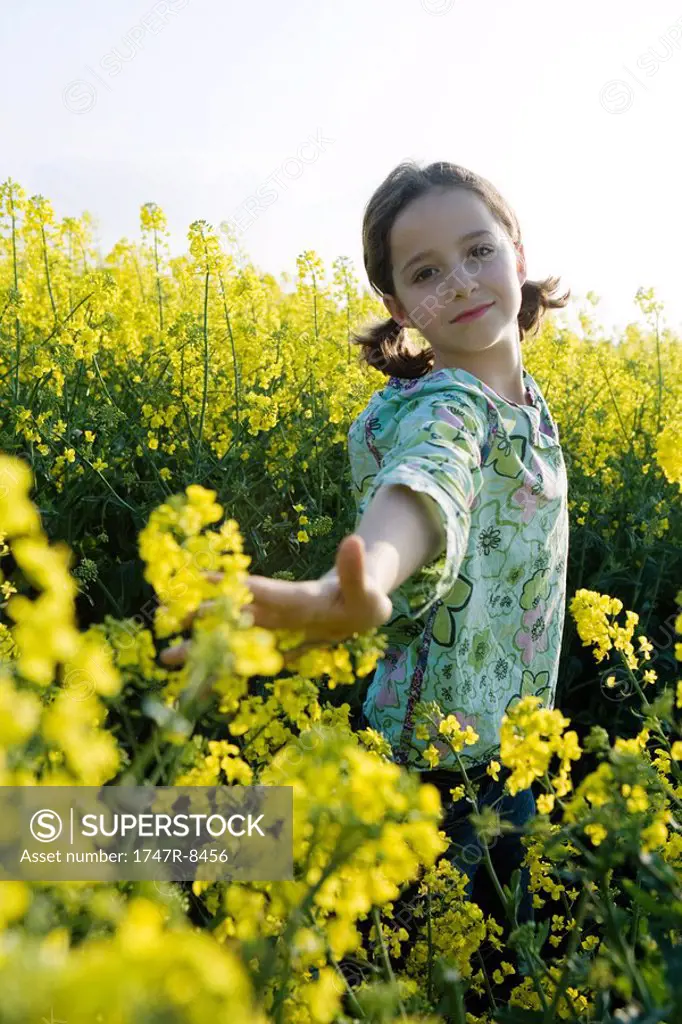 Girl standing in field of canola in bloom, reaching out arm to touch flowers