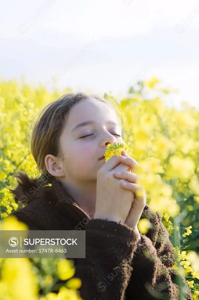 Girl standing in field, bending over, smelling armful of yellow flowers