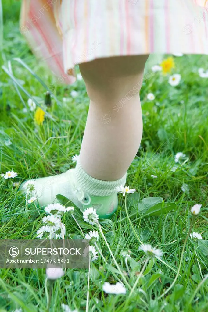 Toddler girl standing on grass, low section