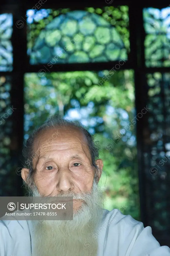 Elderly man with long white beard, portrait