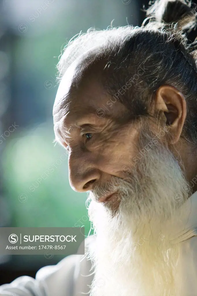Elderly man with long white beard, profile, portrait