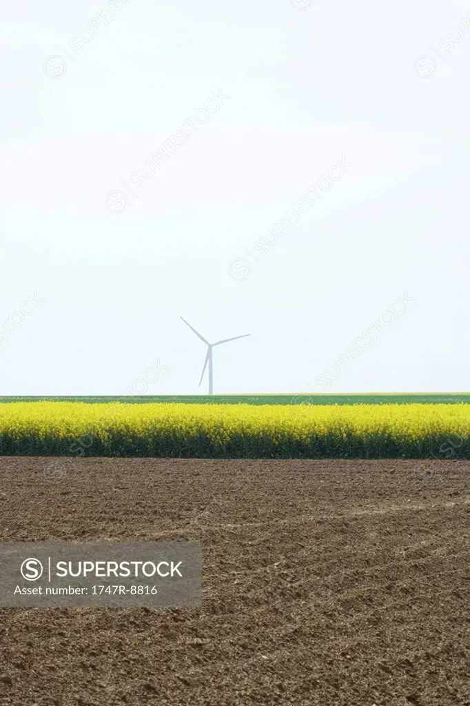 Plowed field with wind turbine in the distance