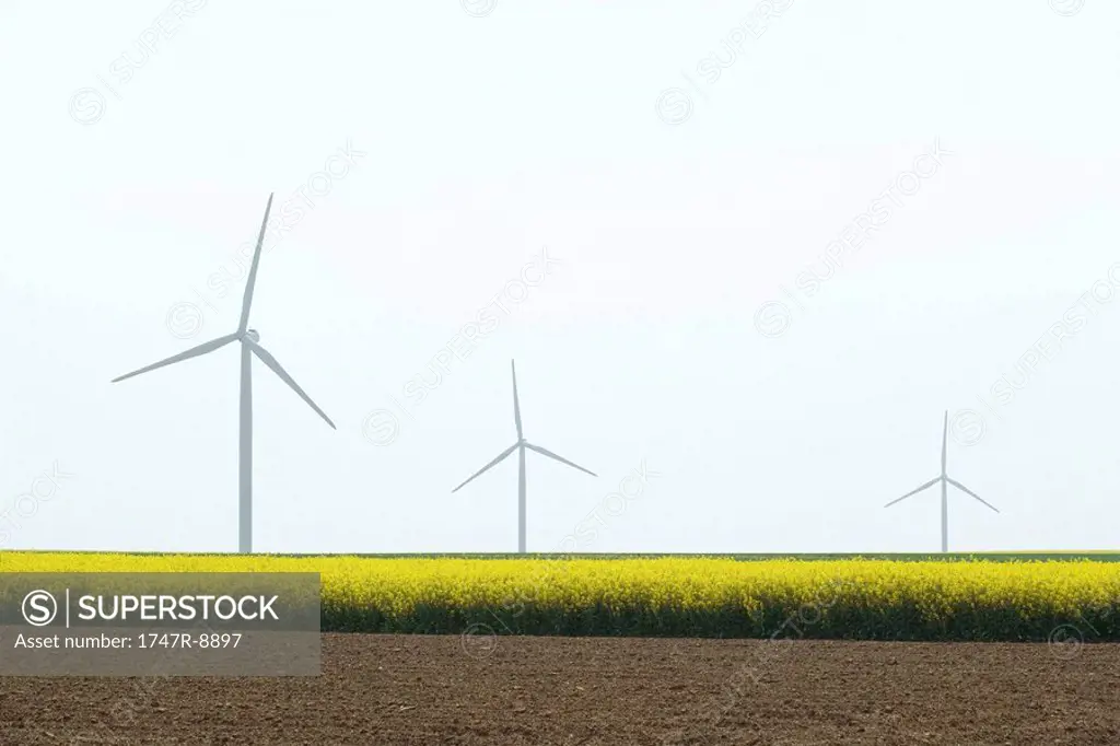 Line of wind turbines in field