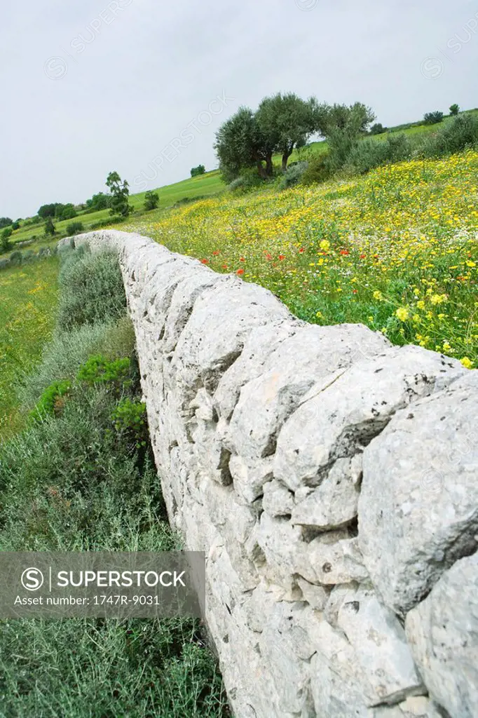 Low stone wall in Mediterranean landscape