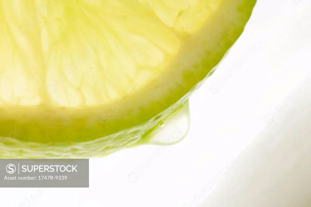 Juicy lemon slice, extreme close-up, cropped