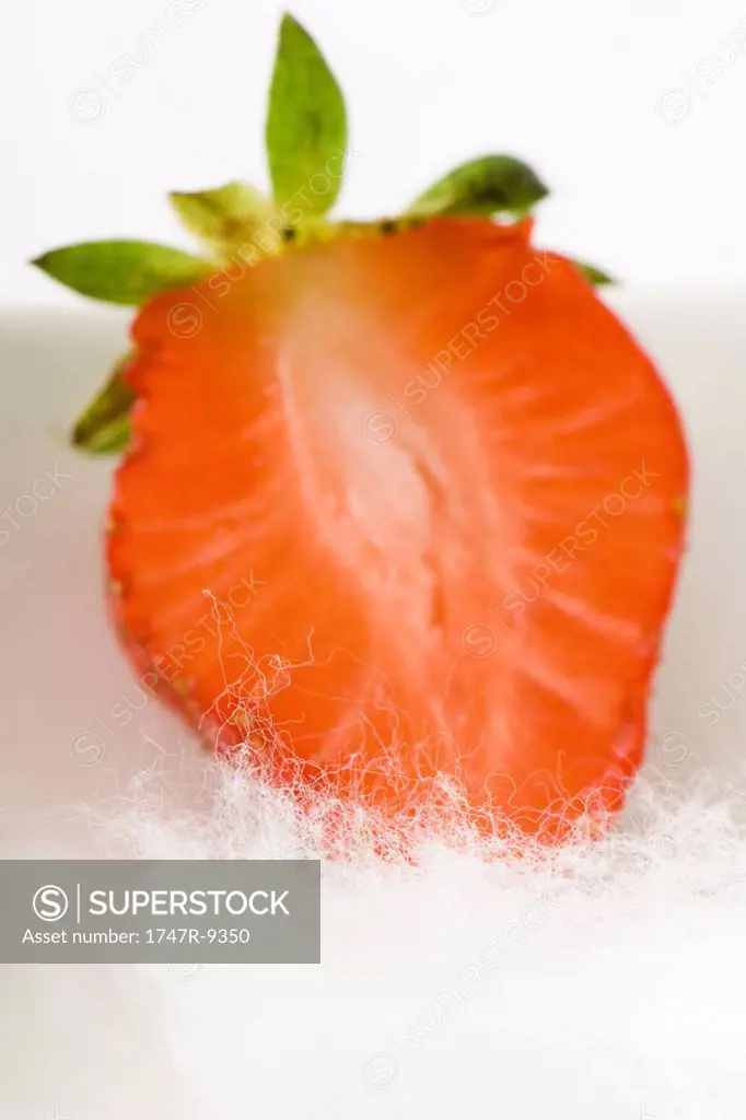 Fresh strawberry cut in cross section, cotton in foreground, close-up