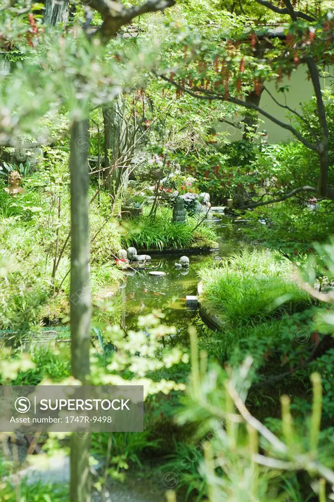 Stream in Japanese garden