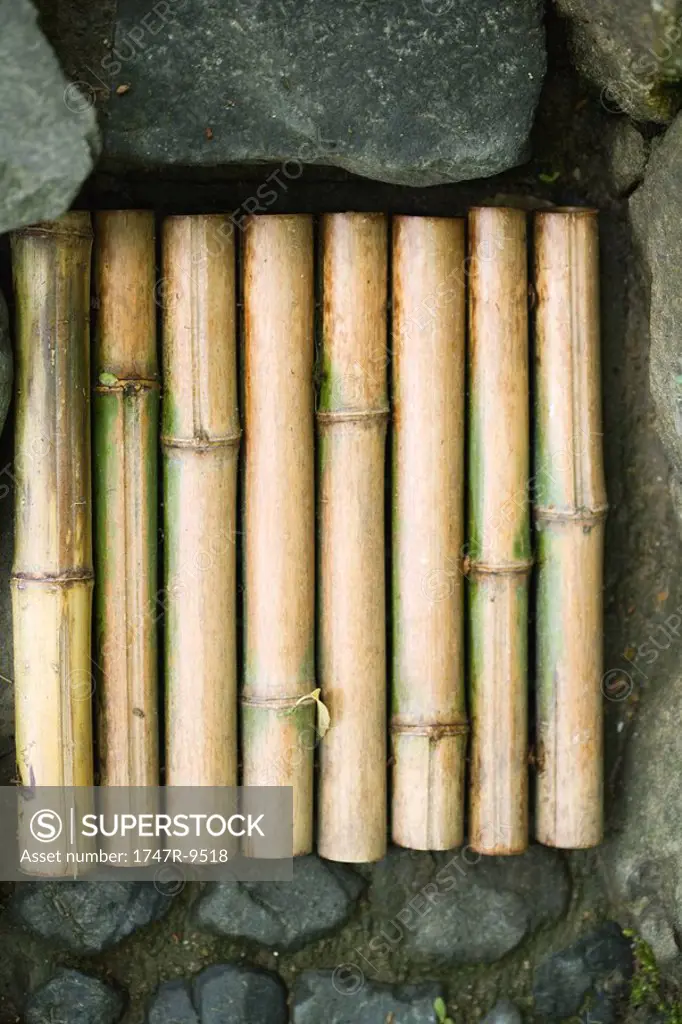 Bamboo lined up on stones, close-up