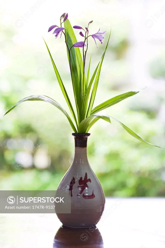 Purple flowers in vase
