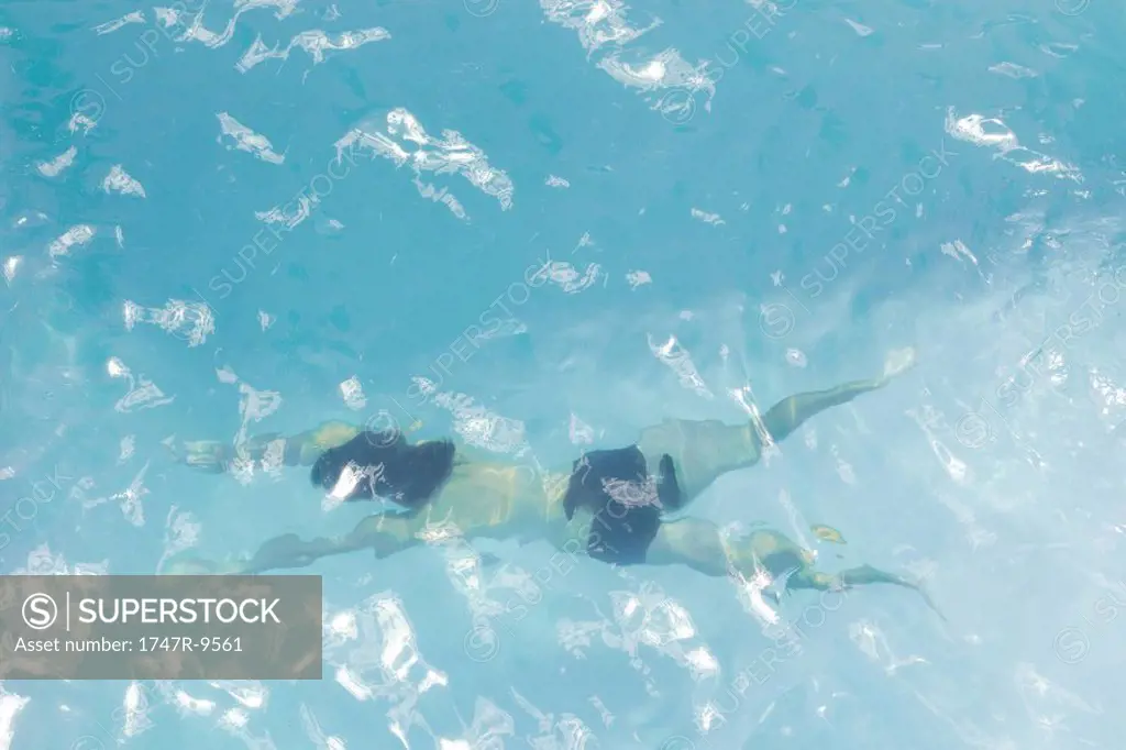 Man swimming underwater in pool, high angle view