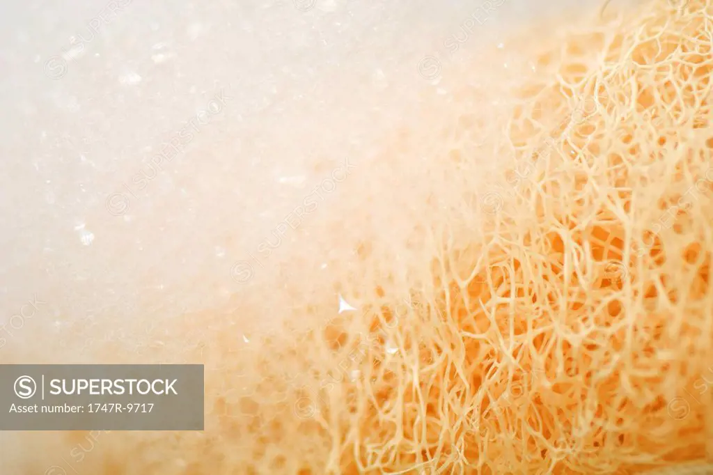 Soap suds on sponge, extreme close-up