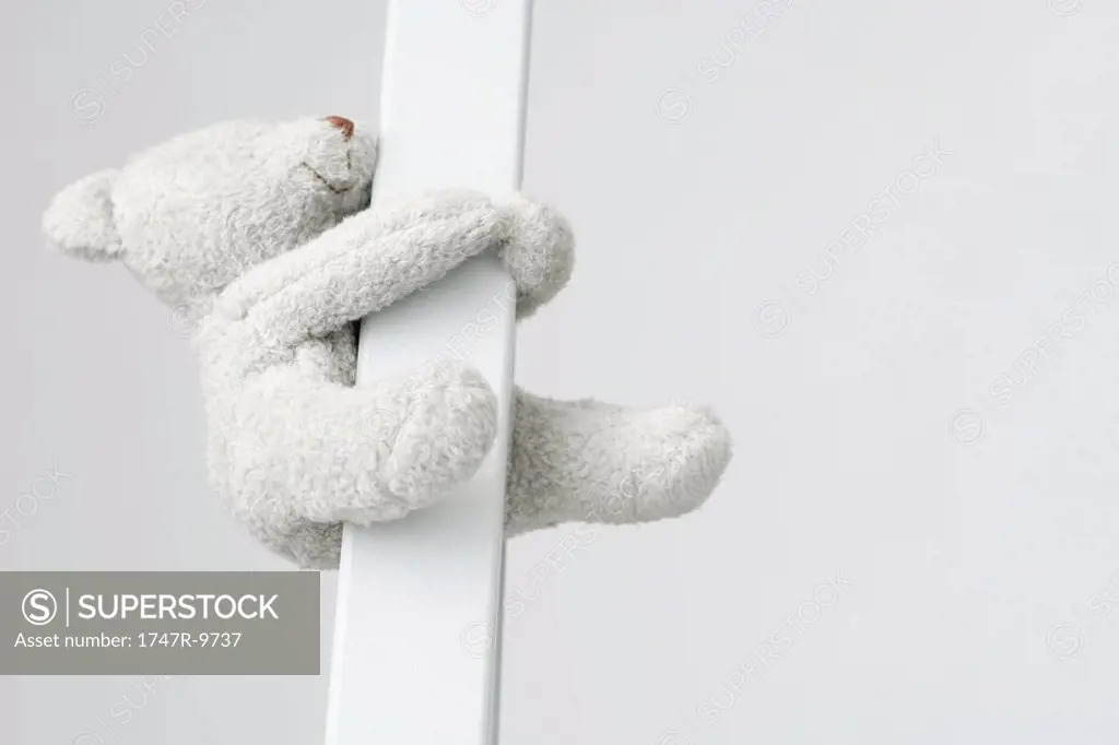 Teddy bear holding on to pole, close-up