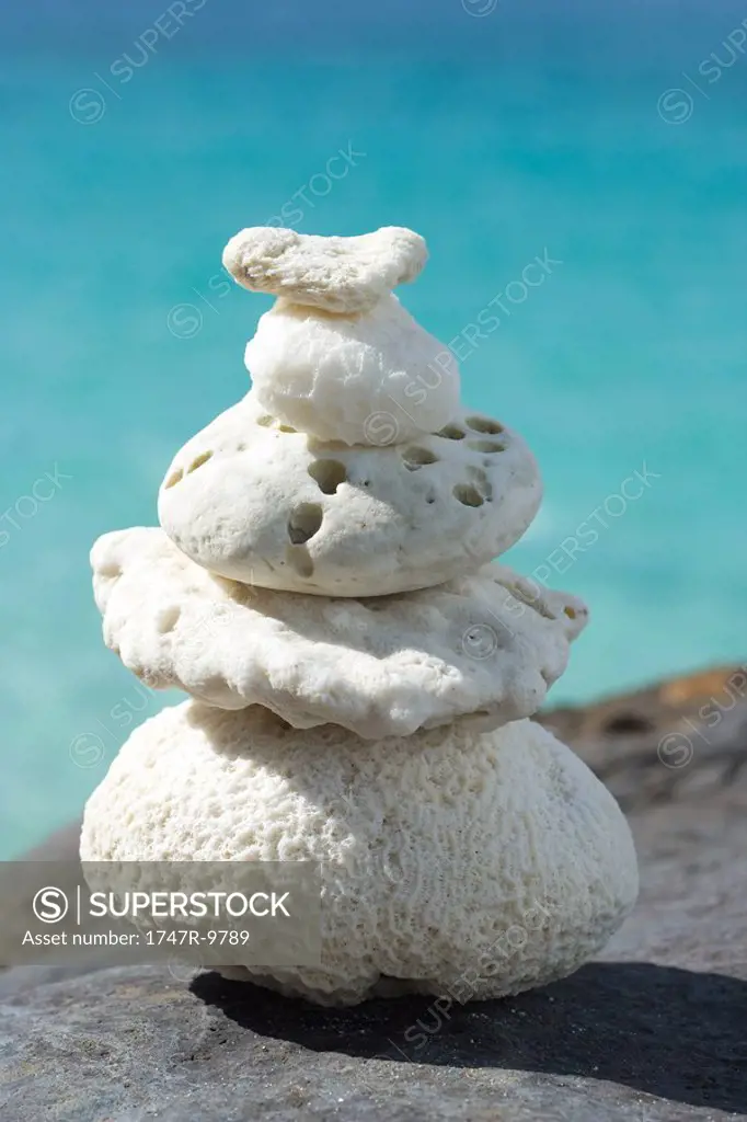 Stacked coral pieces, close-up