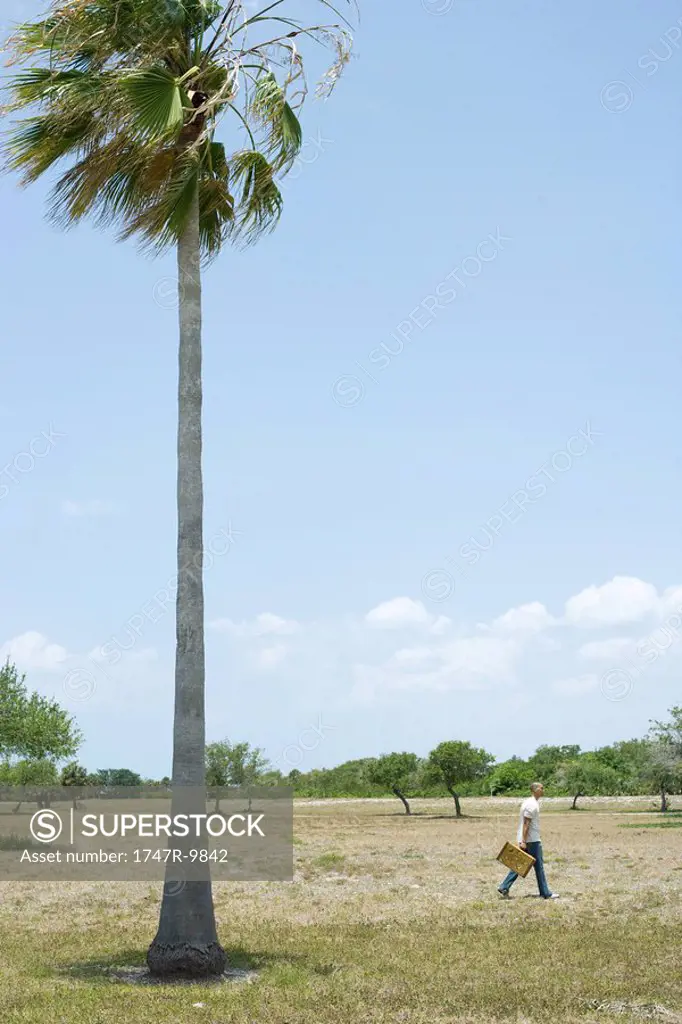 Man walking outdoors, carrying suitcase, tall palm tree in foreground