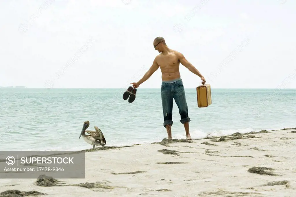 Man standing at the beach, looking at pelican, carrying his shoes and suitcase