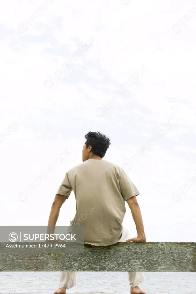 Man sitting on rail, facing ocean, rear view