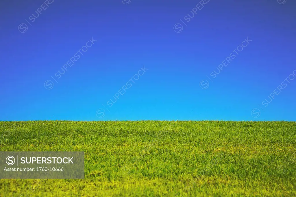Hawaii, Oahu, Beautiful landscape of green grass and a blue sky.