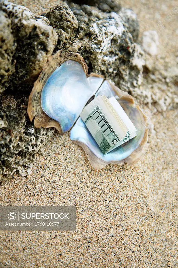 Hawaii, Polished oyster shell laying in the sand with a hundred dollar bill inside.