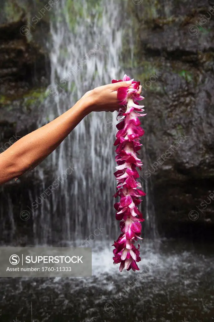 Hawaii, Oahu, Manoa Falls, Shot of a womans hands holding an orchid lei.