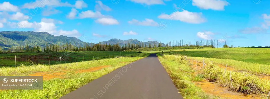Hawaii, Kauai, Kealia Highlands, Panoramic image of the north mountain range of Kauai.Part 2 of 3