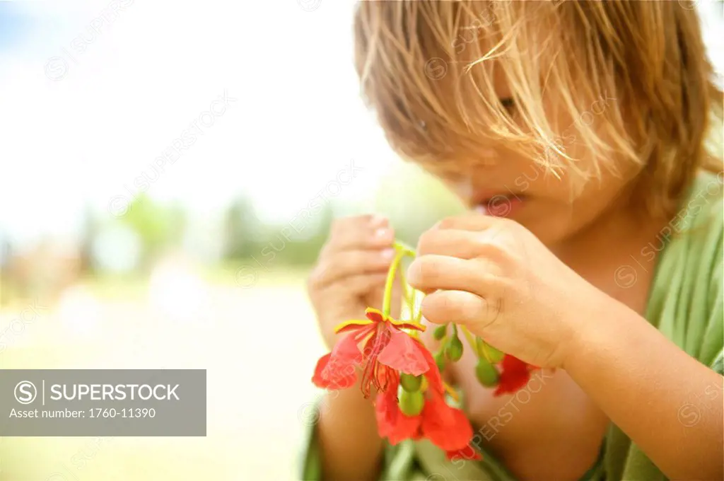 Hawaii, Kauai, Kilauea, Young boy playing with a Poinciana blossom.