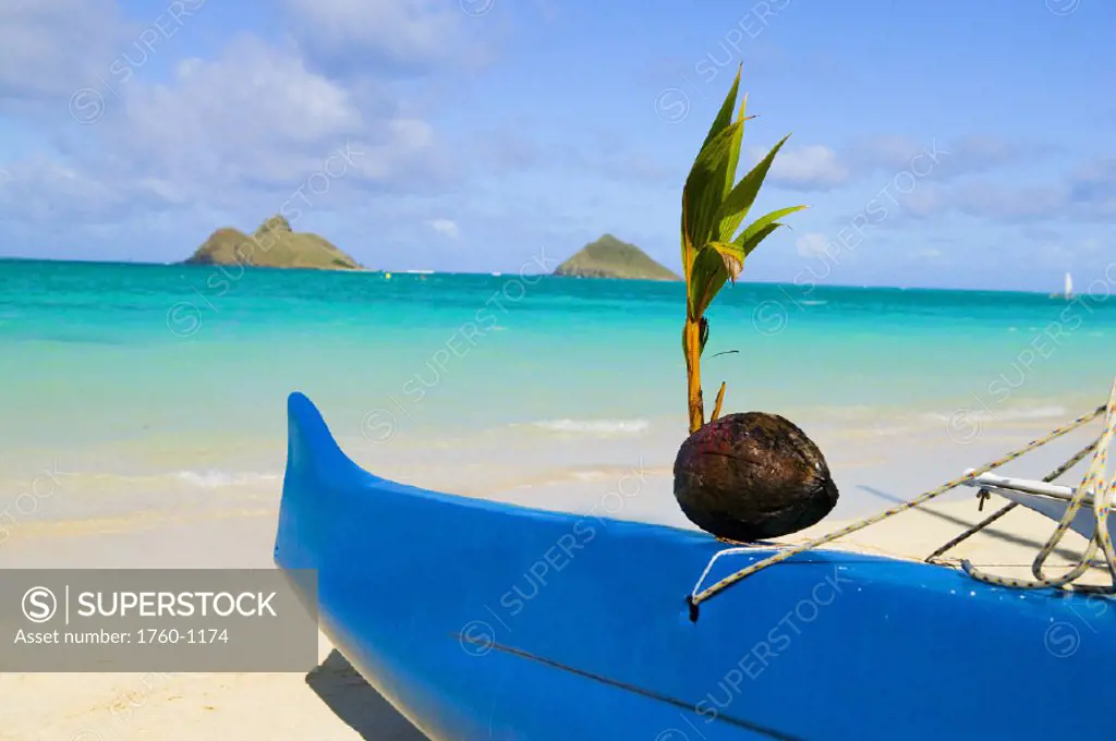 Hawaii, Oahu, Lanikai, Canoe on beach with coconut on bow