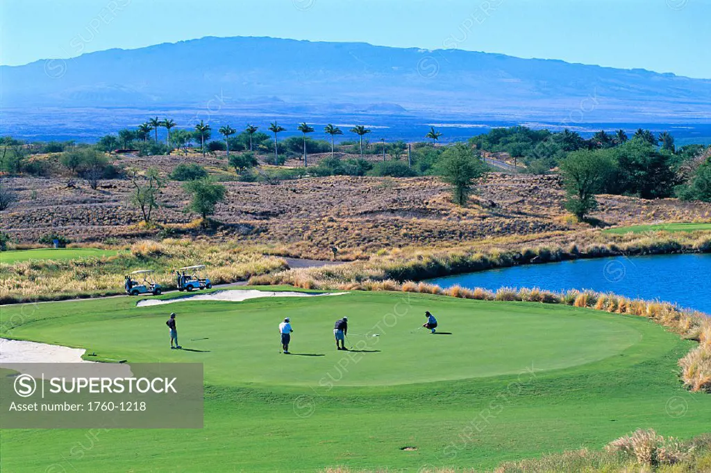 Hawaii, Big Island, Hapuna Prince Resort Golf Course, Golfers on green C1259